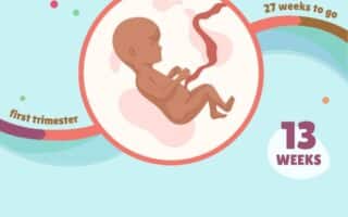 Pregnancy tracker app