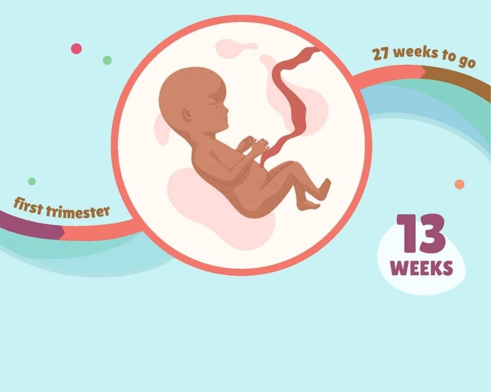 Pregnancy tracker app – Week by week