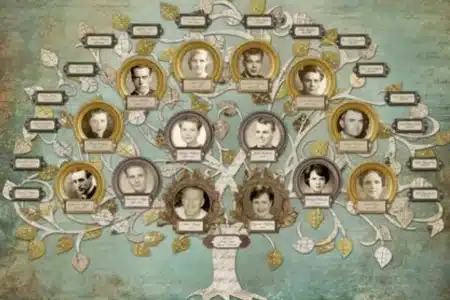 The Best Genealogy Apps